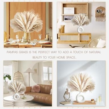 70PCS Natural Dried Pampas Grass Boho Home Decor Bouquet Phragmites Dried Flowers Bouquet for Wedding Floral Arrangements Home Decorations (70PCS) - Image 3