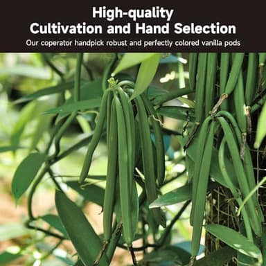 SPICEEL Organic Madagascar Vanilla Beans Grade A Vanilla Pods for Making Extract, Whole Vanilla Beans for Baking, Gluten Free, Non-GMO, Kosher, 25 Counts - Image 8