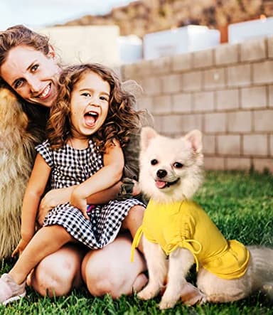 Topkins Small Dog Dresses, Dog Birthday Dresses, Dog Party Dress, Dog Holiday Dresse with Cute Ruffles, Dog Clothes for Small Medium Dogs Girl(Yellow, S) - Image 4