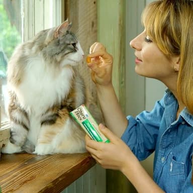 Inaba Churu Bites for Cats, Soft Baked Chicken Churu Filled Cat Treats with Vitamin E, 0.35 Ounces Each Tube, 24 Tubes Total (3 Per Pack), Tuna with Scallop Recipe - Image 7