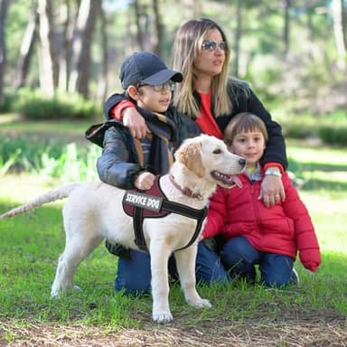 VOOPET Emotional Support Dog Harness, Professional Service Dog Vest for Medium Dogs, Reflective, Breathable, Adjustable, No Pull/Choke, ESA Essential Harness - Image 3