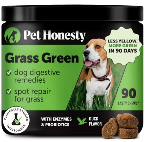 Grass Green Dog Chews - Urine Neutralizer for Lawn, Dog Pee Grass Helps Yard Stay Green Addressing Burn Spots with Probiotics & Enzymes (Duck) - Image 1