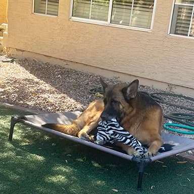 Jalousie 5 Pack Stuffingless Dog Squeaky Toys Dog Toy w/Durable Liner No Stuffing Dog Toy - Dog Toys Crinkle Paper Squeaker Toy for Medium Large Dogs (5 Pack - Large - Premium Furrrr) - Image 7