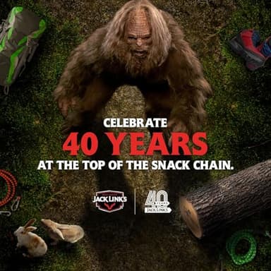 Jack Link's Spicy Beef Jerky Gift Basket Variety Pack - Includes Jerky, Meat & Cheese Combos, and Beef Steaks, Great Gift for Men, Perfect Hunting Trip Snacks, 15-Piece Assorted Spicy Meat Snack Pack - Image 10