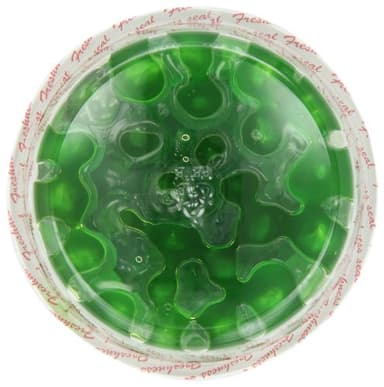 Paradise Green Cherries - Image 2