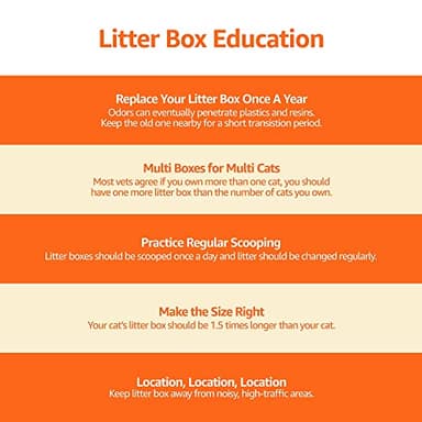 Amazon Basics No-Mess Hooded Enclosed Cat Litter Box, Large, Multicolor, 24 in x 18 in x 17 in - Image 5