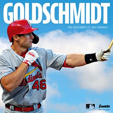 Franklin Sports MLB Batting Gloves - Classic XT Adult Men's + Youth Batting Gloves Pair - Baseball + Softball Gear - White - Adult Large - Image 6