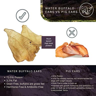 Wild Eats Water Buffalo All Natural Ear Dog Chews, Dog Treats & Snacks - 20 Piece Value Pack (Grain Free Treats - Great Alternative to Pig Ears, Cow Ears, Bones & Rawhides) - Image 2