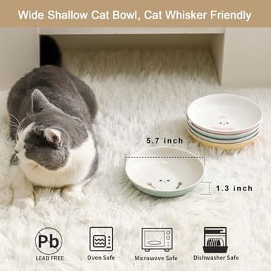 Ceramic Cat Bowls Set - 5.7 inch Wide Cat Food Bowls Whisker Fatigue Friendly, 5 Colorful Kitten Dish Plates with Cute Pattern for Wet and Dry Food Water - Image 3
