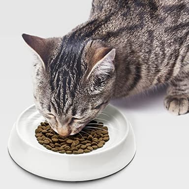 CatGuru Cat Bowls, Whisker Friendly Cat Food Bowl for Indoor Cats, Reliefs Whisker Fatigue, Wide Kitten Dish, Non Slip Pet Dishes, Shallow Pet Plates (Set of 2, Marshmallow) - Image 8