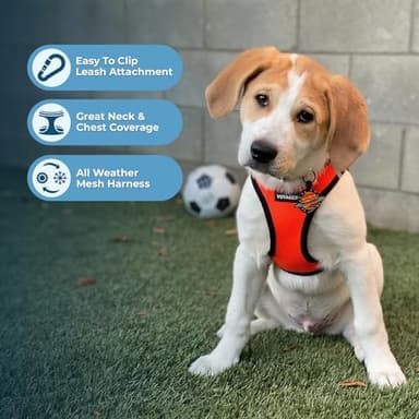 Best Pet Supplies Voyager Step-in Air Harness - All Weather Mesh, Reflective, No Pull Harness for Dogs, Cats - Secure with Hook & Loop Fastener, Buckle, Double D-Rings - Orange/Black Trim, XXXS - Image 3