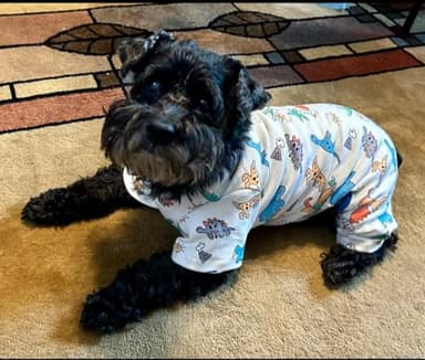 Dino Puppy Pajamas Dog Jumpsuit Dog Clothes, Cotton Pet Pajamas for Small Dogs Cats Kitten Soft Material Small Dogs Dog Onesie Dog Sweater Puppy Pjs Chihuahua Yorkie Onesie (Dino Pajamas, Medium) - Image 3
