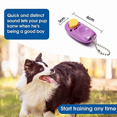 BAAPET 15/20/30/50/100 ft Long Dog Training Leash with Clickers for Small, Medium and Large Dogs or Cats (100 Feet, Purple) - Image 5