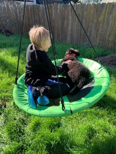 40 Inch Saucer Tree Swing for Kids, Outdoor Round Swing with Hanging Straps & Adjustable Ropes, Easy Assembly (Green) - Image 5