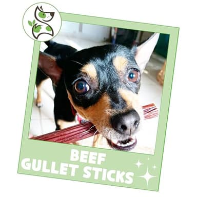 Nature Gnaws Beef Gullet Sticks for Dogs 5-6" (15 Count) - Natural Beef Jerky Stick Dog Chew Treats - Rawhide Free - Image 6