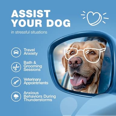 Hemp Calming Chews for Dogs - Dog Calming Treats - Anxiety Relief for Dogs with L-Theanine, Chamomile Extract, Valerian Root - Dog Anxiety Relief for Travel, Vet Visits, Thunderstorms, Nail Trimming - Image 4