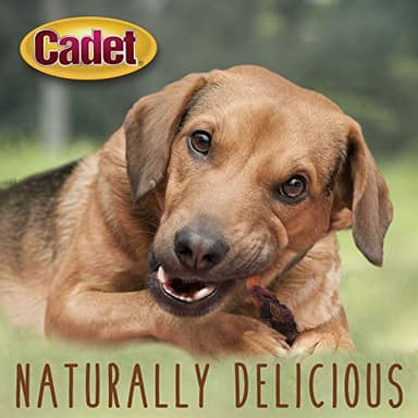Cadet Gourmet Sweet Potato & Chicken Wraps Limited-Ingredient Dog Chews, Healthy and Natural Training Treats for Small and Large Dogs, 28 oz. - Image 6