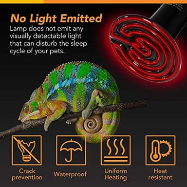Simple Deluxe 150W Reptile Ceramic Heat Bulb with 8.5 Inch Clamp Lamp and Digital Thermostat Controller Combo Set for Incubating Chicken & Amphibian Pet, 2 Pack - Image 10