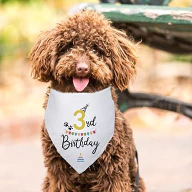 Happy 3rd Birthday Dog Bandana - Triangle Scarf Party Supplies for Pet Puppy - Lover Gifts and Accessories - Image 5