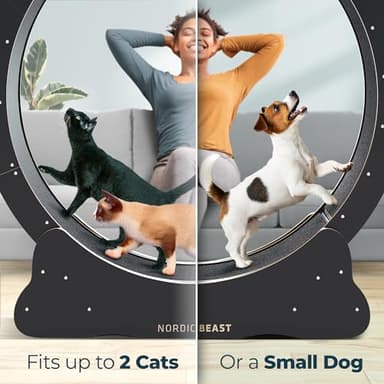 Nordic Beast 48'' XL Cat Wheel - for Indoor Cats Which Doesn't Negatively Affect Your Cat's Spine - 15.7'' Extra Wide Cat Exercise Wheel - Fits 2 Cats Side-by-Side, 1-Year Warranty - Image 7