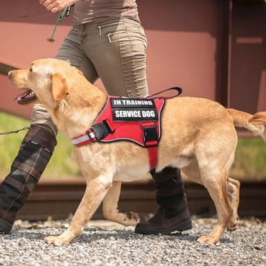 MOOGROU Service Dog Vest Harness and Leash Set+10 Patches,No Pull&Adjustable Reflective Dog Harness with Soft Padded Handle for Training/Everyday,Fit Small/Medium/Large/Extra-Large Dogs (Red S) - Image 7
