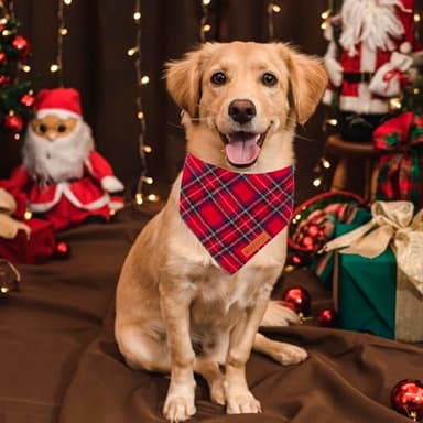 ADOGGYGO Christmas Dog Bandanas 2 Pack, Unique Shape, Premium Cotton Fabric, Multiple Sizes, Stylish Red Green Plaid Pet Christmas Bandanas for Large and Extra Large Dogs (X-Large, Style 2) - Image 2