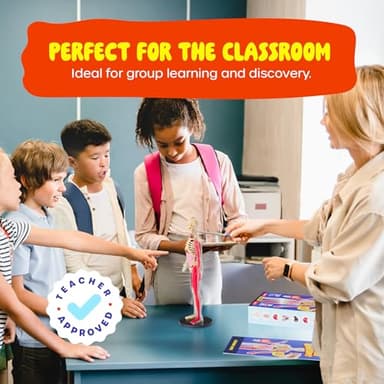 Dan&Darci Human Anatomy Squishy Body Model - Science Kits for Kids Ages 4-8 - STEM Toys for 4 5 6 7 8 Year Old Boy Birthday Gift - Learning Educational Toys for Ages 5-7 Boys Gifts - Skeleton Parts - Image 8