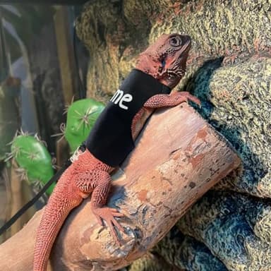 Bearded Dragon Leash and Harness Adjustable - Unique Pattern Lizard Cloth Escape Proof Harness with Leash for Walking Outdoor (Black) - Image 5