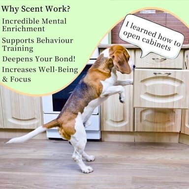 Dog scent training kit,Dog Brain Games, Hide and Seek Dog Toys, Dog Games - Fun Nose Work for Dogs, Sniff and Seek Dog Sniffing Toys , Dog Nosework Kit, Scent Work Kit for All Ages Dog (Green) - Image 5