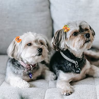 Petunny Dog Hair Bows for Thanksgiving,30Pcs Yorkie Dog Autumn Bows with Rubber Bands for Halloween Christmas Fall Party Pet Dog Cat Hair Accessories(Random Color) - Image 6