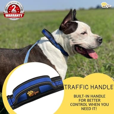ADITYNA Heavy Duty Dog Collar for Medium Dogs - Medium Dog Collar with Handle - Ultra Comfortable Soft Neoprene Padded - Image 2