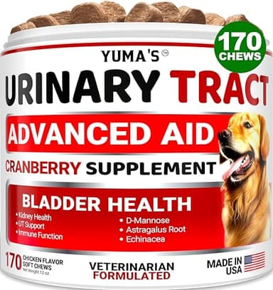 Dog UTI Treatment - 170 Treats - Cranberry Supplement for Dogs - Bladder Control - Urinary Tract Infection Treatment - UTI Medicine Multivitamin - Vitamins and Supplements - Made in USA - Image 1