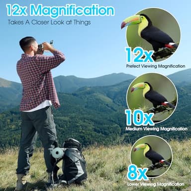 ZZSTAR 12x32 Binoculars for Adults, Binoculars with Camera, 2" LTPS Display 5MP 1080P Video Photo Recorder for Bird Watching Travel Hunting, with 32GB Micro SD Card, Silvery - Image 2