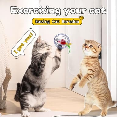 Oiuyamn Cat Interactive Toy - Metal Cage With Colorful Plush Mouse, Kitten Teething and Chew Toy, Indoor Exercise Ball - 1PCS Random Color - Image 5