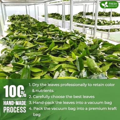 FreshDrinkUS, 75+ Premium Soursop Graviola Dried Leaves Tea, Natural Whole Leaves, Wildcrafted, Hoja De Guanabana, Soursop/Guanabana/Graviola Tea, No Sugar/Gluten/Caffeine/Non GMO, Vegan - Image 7