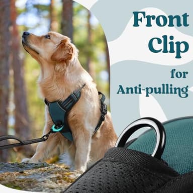 rabbitgoo Dog Harness Medium Sized, No Pull Pet Harness with 3 Buckles, Adjustable Soft Padded Vest with Control Handle, Walking Reflective Pet Vest for Medium Dogs, Blue Coral, M - Image 7