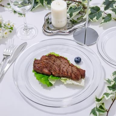I00000 100PCS Clear Silver Plastic Plates, Clear Plates with Silver Rim, 10 Inch Dinner Plates Premium Party Supply for Wedding Birthdays Party - Image 7