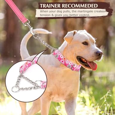 Martingale Collar for Dogs with Nylon & Steel Chain Limited Cinch Design, No Choke Dog Collar with Pink Flower Design, Adjustable No Pull Dog Collar, Great for Whippets, Greyhounds and More (XL) - Image 2