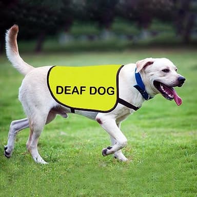 Deaf Dog Jacket Vest Deaf Awareness Dog Vest Dog Special Needs Dog Warning Vest (Deaf Dog-Medium) - Image 6