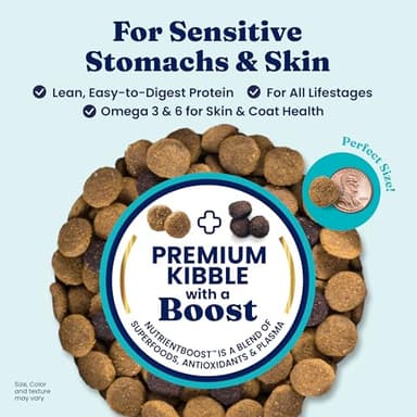 Solid Gold Salmon Dog Food for Sensitive Stomachs – Grain Free & Gluten Free Kibble w/Probiotics to Support Gut Health & Digestion - Sensitive Stomach Dog Food for All Ages – Nutrientboost™ – 22 LB - Image 2