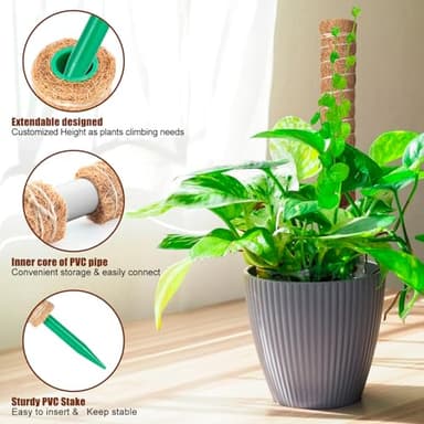 KintKita Large Moss Pole Monstera Plant Support Stakes 116 Inch,4 PCS 20.8 Inch & 2 PCS 16.5 Inch Moss Poles for Plants,Plant Poles for Climbing Plants,Coco Coir Pole for Indoor Plant Grow Upwards - Image 3