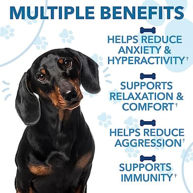 Hemp Calming Chews for Dogs with Anxiety and Stress - Anxiety Relief Chews for Storms, Fireworks, Thunder, Barking, Separation - Valerian, L-Tryptophan, Hemp Oil - Peking Duck- 120 Dog Calming Treats - Image 5