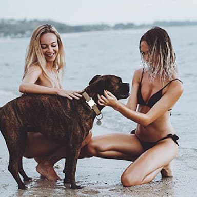 SWINCHO for AirTag Dog Collar Holder [2 Pack] Waterproof High-Strength Elastic Silicone Dog Cat Air Tag Holder, (Black&White) - Image 6