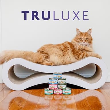 Weruva TruLuxe Cat Food, Steak Frites Dinner with Beef & Pumpkin in Gravy, 6oz Can (Pack of 24) - Image 10