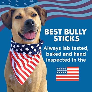 Best Bully Sticks 12 Inch Bully Sticks for Dogs - 10 Count (Pack of 1) - Natural, Easily Digestible, 100% Grass-Fed Beef, Grain and Rawhide Free - Image 8