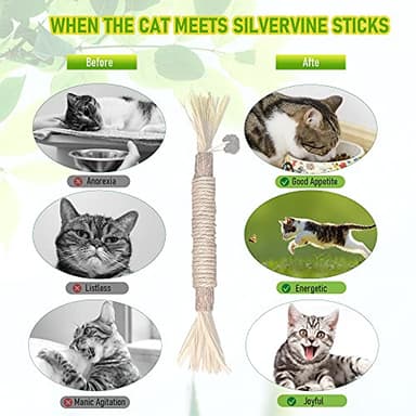 BAWAN Catnip Toys‖ Silvervine for Cats: Cute Cat & Kitten Toys for Indoor Cats Interactive‖ Cat & Kitten Teething Chew Toys for Aggressive Chewers‖ Silvervine Sticks Ca.t Dental Toy (3PCS) - Image 5