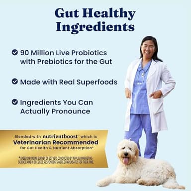 Solid Gold Salmon Dog Food for Sensitive Stomachs – Grain Free & Gluten Free Kibble w/Probiotics to Support Gut Health & Digestion - Sensitive Stomach Dog Food for All Ages – Nutrientboost™ – 22 LB - Image 6