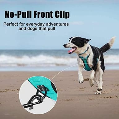 PoyPet No Pull Dog Harness, Reflective Comfortable Vest Harness with Front & Back 2 Leash Attachments and Easy Control Handle Adjustable Soft Padded Pet Vest for Small Medium Large Dogs (Mint Blue,M - Image 3