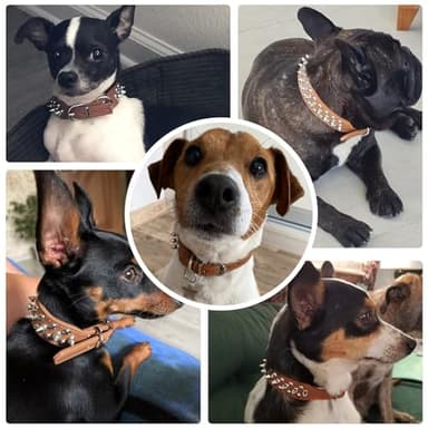 DOGGYZSTYLE Small Spiked Dog Cat Collar for Small Medium Dogs Boy Male - Adjustable Studded Puppy Collars - Soft Padded Punk Leather Dog Collar for Chihuahua Yorkshire French Bulldog Pug (Brown,XXS) - Image 4