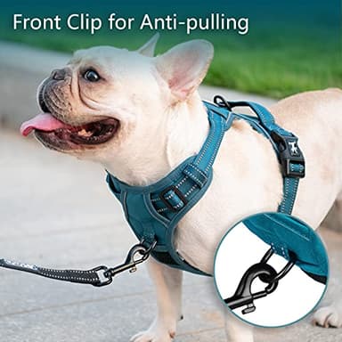 PoyPet No Pull Dog Harness, No Choke Reflective Dog Vest, Adjustable Pet Harnesses with Easy Control Padded Handle for Small Medium Large Dogs(Tumalo Teal,L) - Image 3